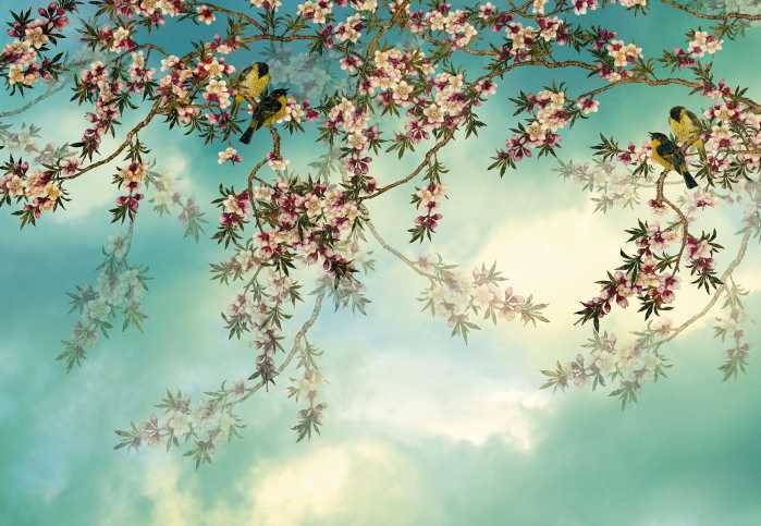 Fototapete Sakura