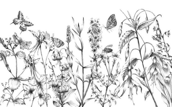 Digitaldrucktapete Butterfly Field