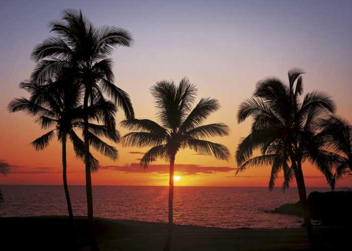 Fototapete Hawaii