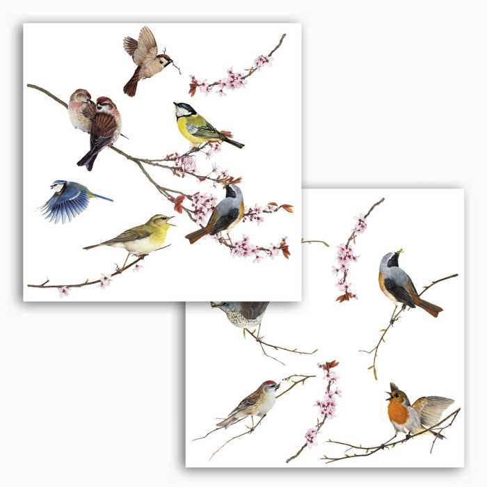 Fenstersticker Birds