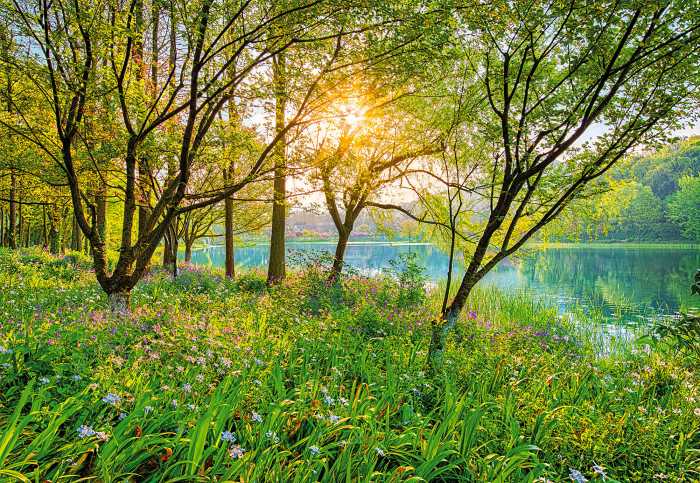 Fototapete Spring Lake