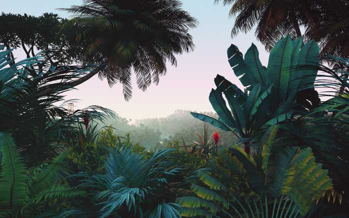 Digitaldrucktapete Jungle Morning