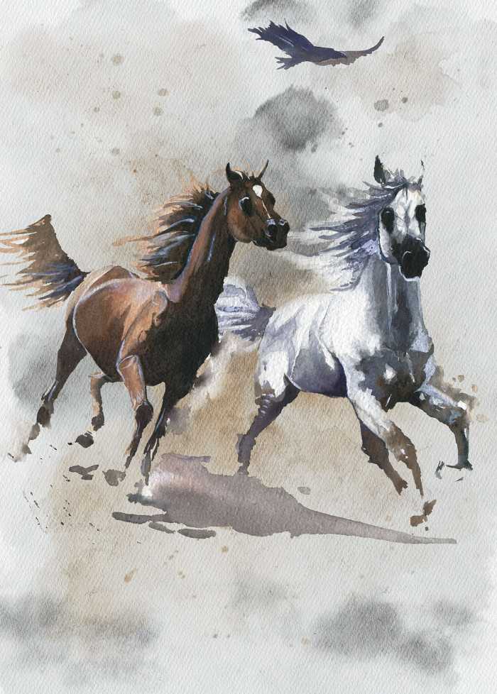 Digitaldrucktapete Wild Ride