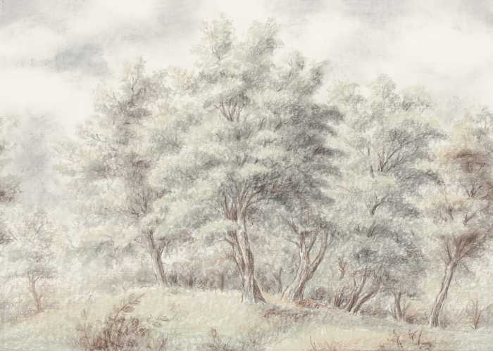 Standard Vlies Grove