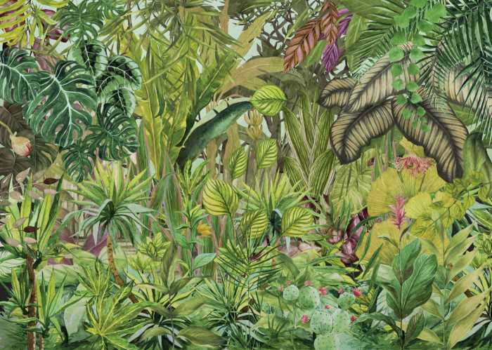 Standard Vlies Colorante