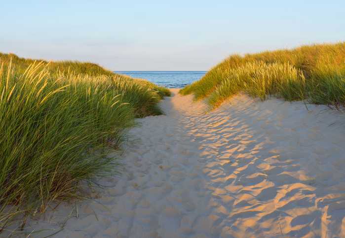 Fototapete Sandy Path