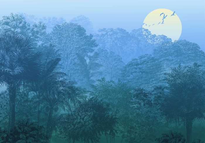Digitaldrucktapete Deep in the Jungle