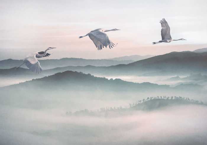 Digitaldrucktapete Mystic Cranes