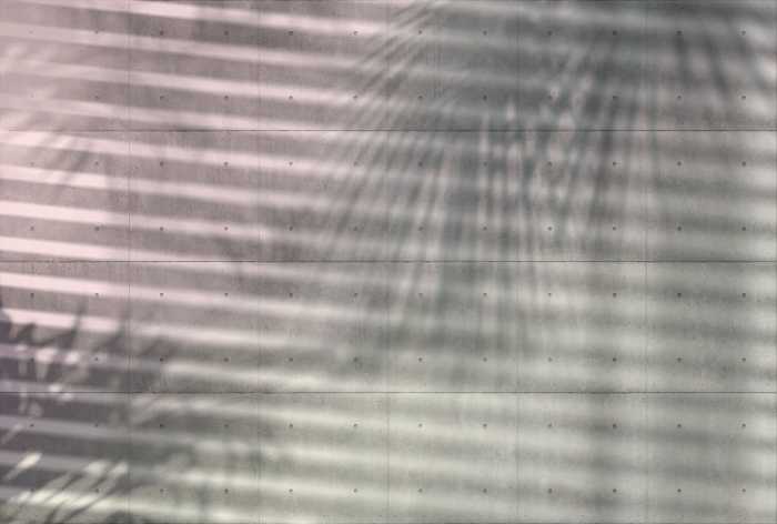 Vliestapete Shadows