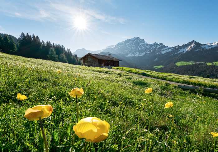 Digitaldrucktapete Alpenglück