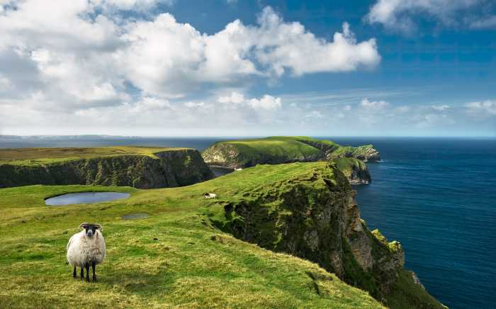 Digitaldrucktapete Green Ireland