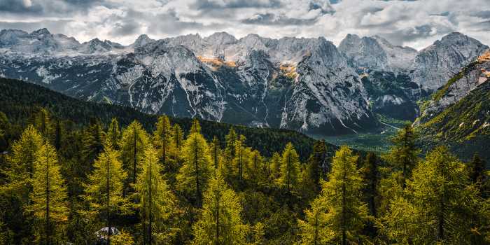 Panel Wild Dolomites
