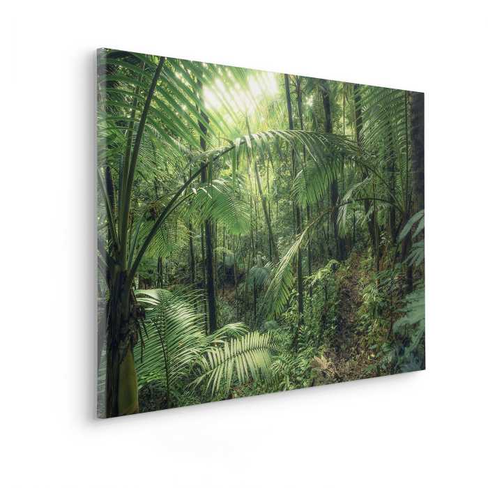 Vlies Leinwand Jungleflair