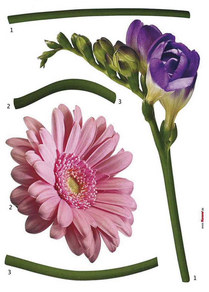 Wandtattoo Fiore