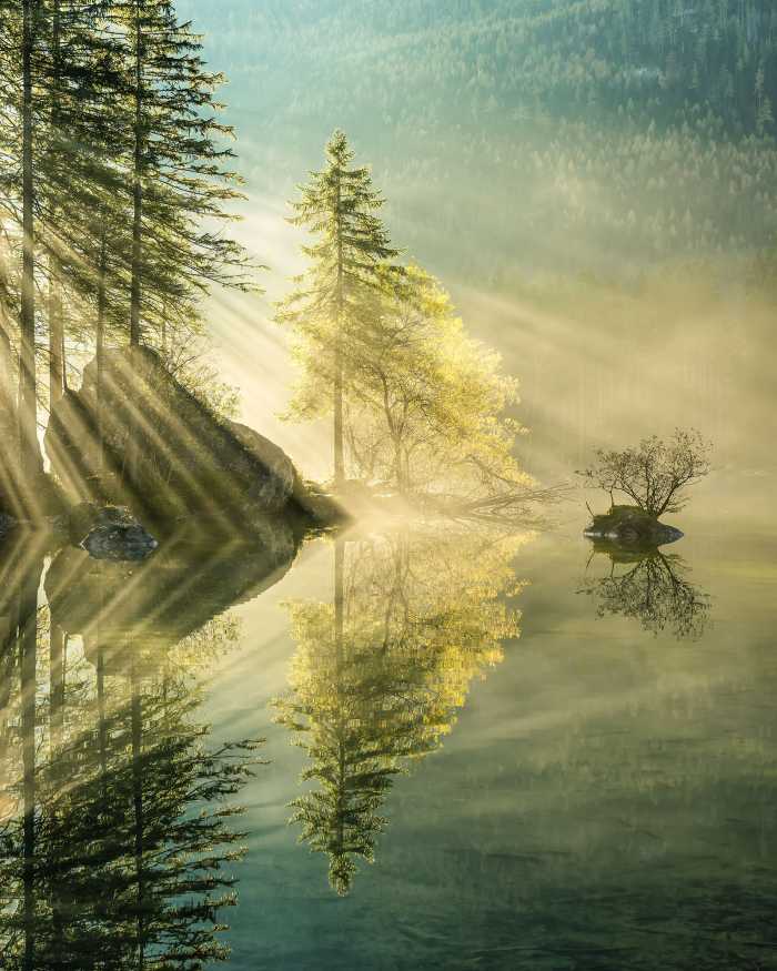 Digitaldrucktapete Indulgence of Beauty