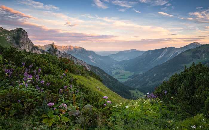 Digitaldrucktapete Naturpark Allgäuer Hochalpen