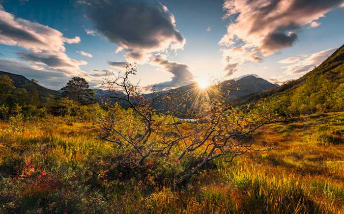 Digitaldrucktapete Norwegische Herbstwelten