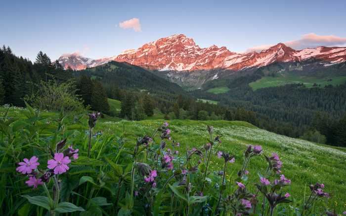 Digitaldrucktapete Picturesque Switzerland