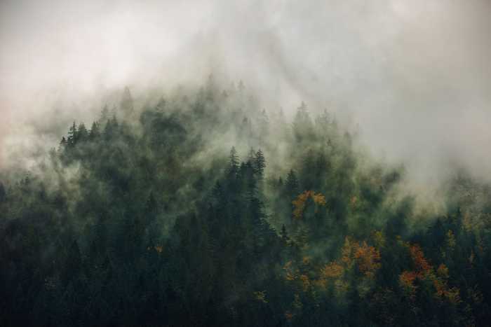 Digitaldrucktapete Tales of the Carpathians