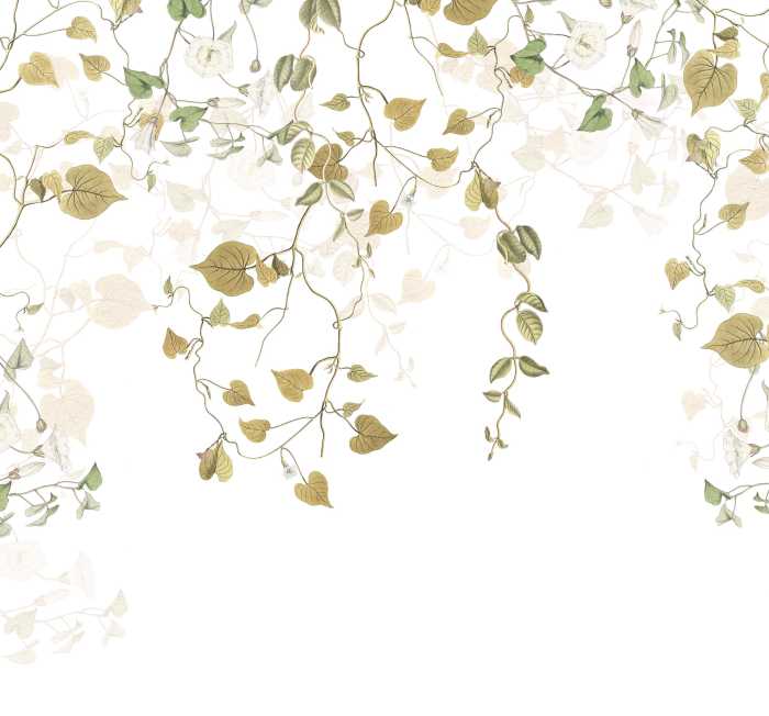Digitaldrucktapete Hedera