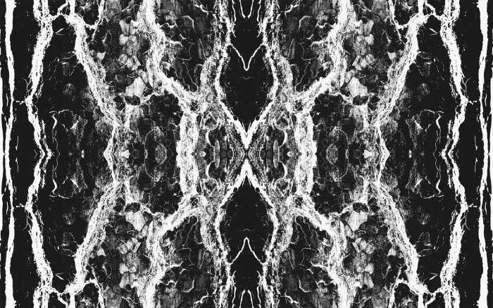 Digitaldrucktapete Oak Bark black-white