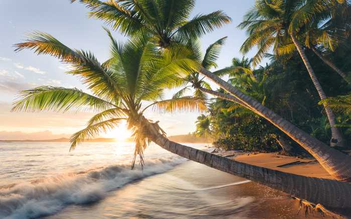 Digitaldrucktapete Strandgeheimnis