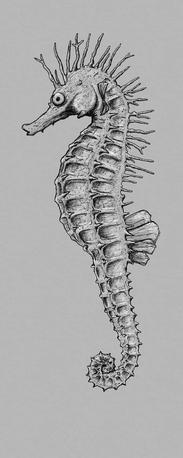 Digitaldrucktapete Sea Horse