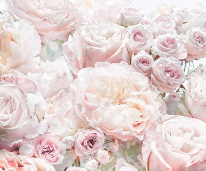 Standard Vlies Parfum de Rose