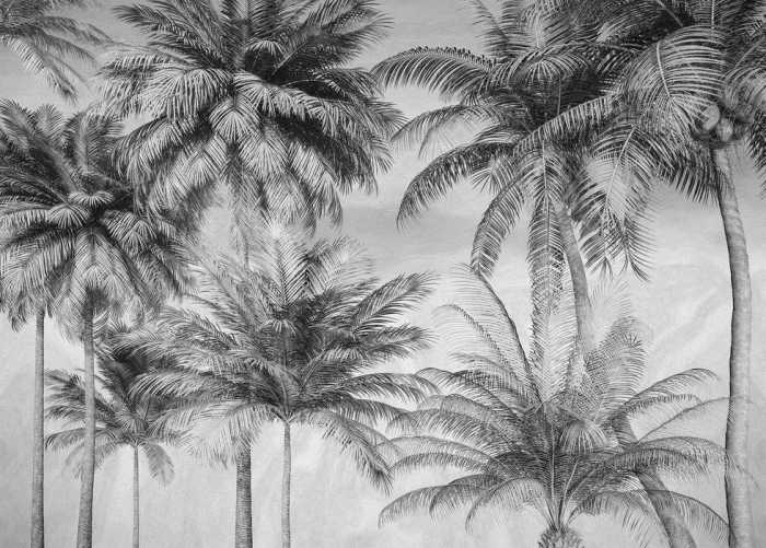 Standard Vlies Coco de Paradis