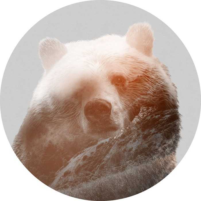 Selbstklebende runde Fototapete auf Vlies Bearava