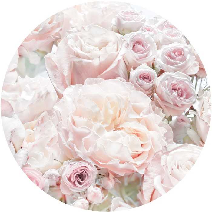Selbstklebende runde Fototapete auf Vlies Pink and Cream Roses