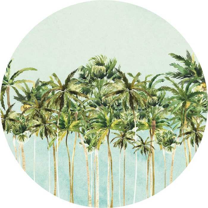 Selbstklebende runde Fototapete auf Vlies Coconut Trees