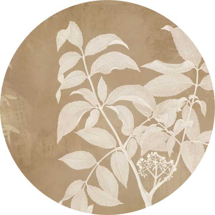 Selbstklebende runde Fototapete auf Vlies Blooming Branch