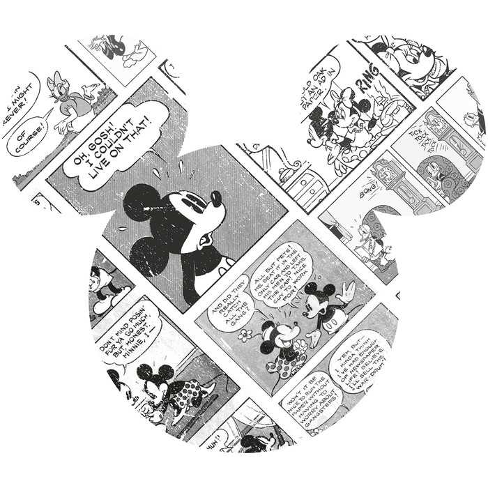  Mickey Head Comic Cartoon