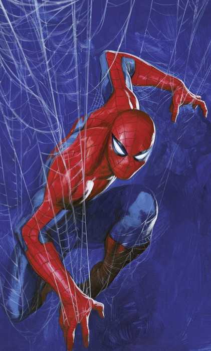 Standard Vlies Marvel Spider-Man Spider Web