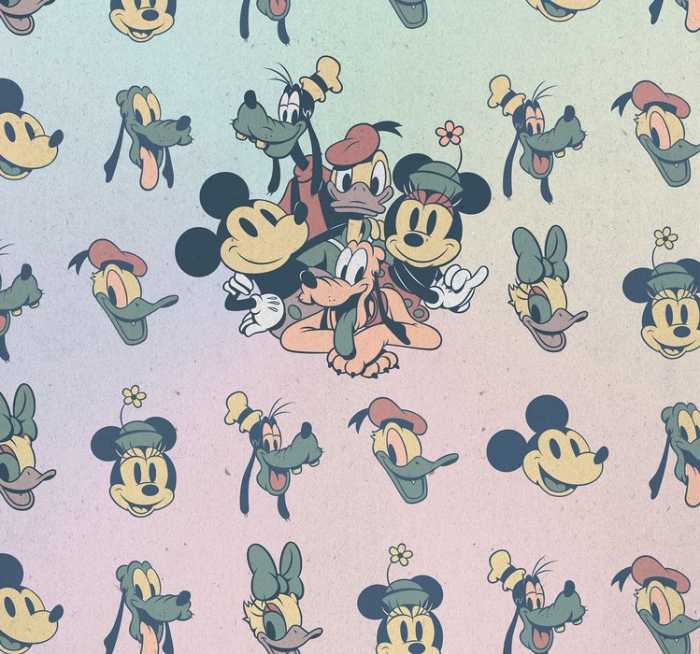 Standard Vlies Mickey Fab5