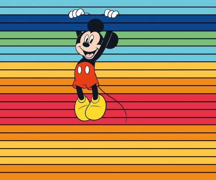 Standard Vlies Mickey Magic Rainbow