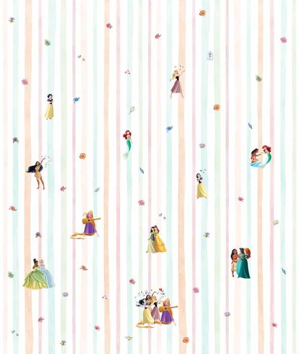 Vinyl Disney Princesses Charmix