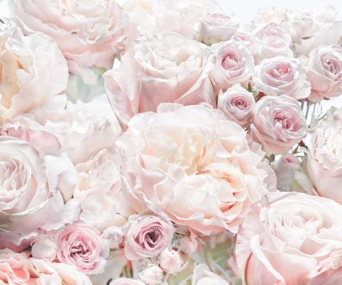 Standard Vlies Floral Pur
