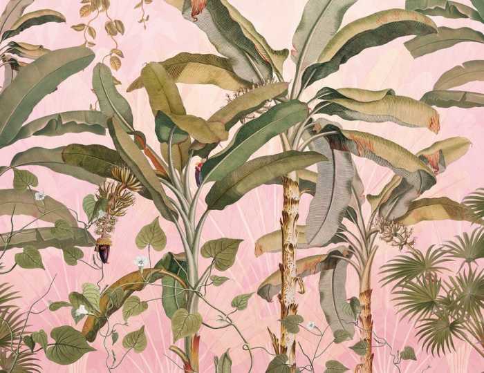 Standard Vlies Plantation