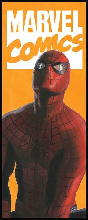 Standard Vlies Spider-Man Comic