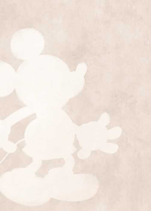 Standard Vlies Mickey Contour