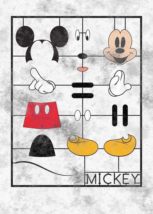 Standard Vlies Mickey Kit