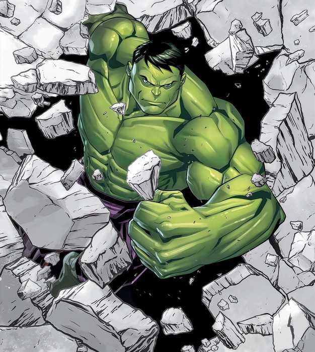 Standard Vlies Hulk Breaker