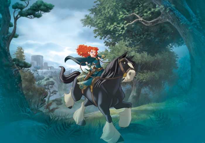 Standard Vlies Merida Riding