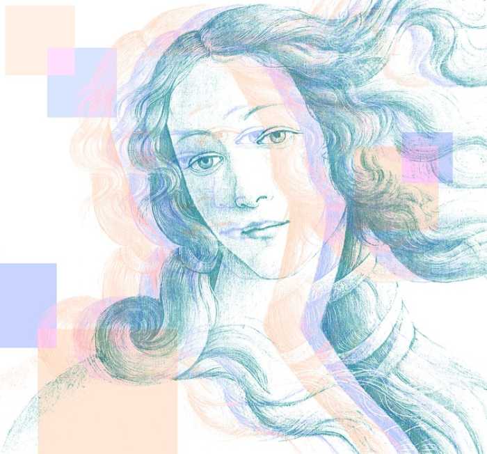 Standard Vlies Venus