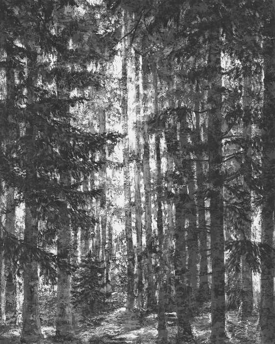 Premium Vlies Lustres Lapland