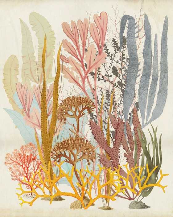 Premium Vlies Catchy Corals