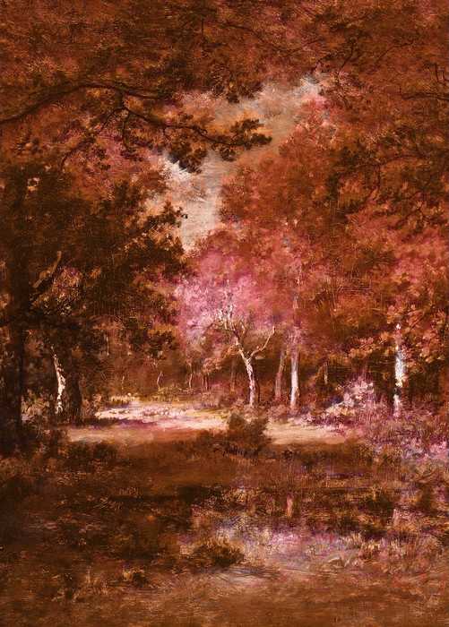 Standard Vlies Autumna rosso