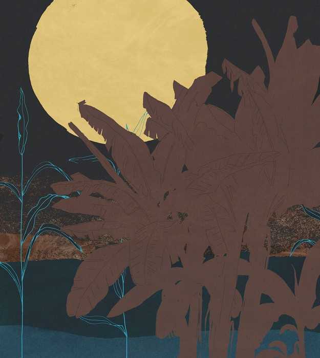 Standard Vlies Supermoon